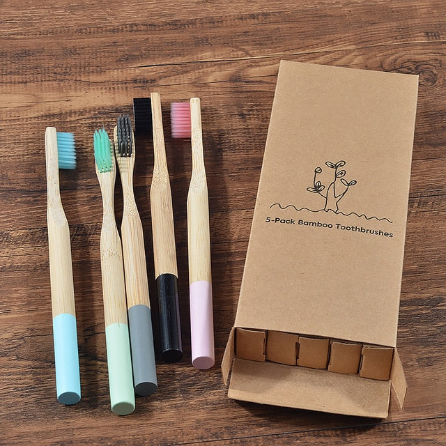 Ecologico biodegradable toothbrush